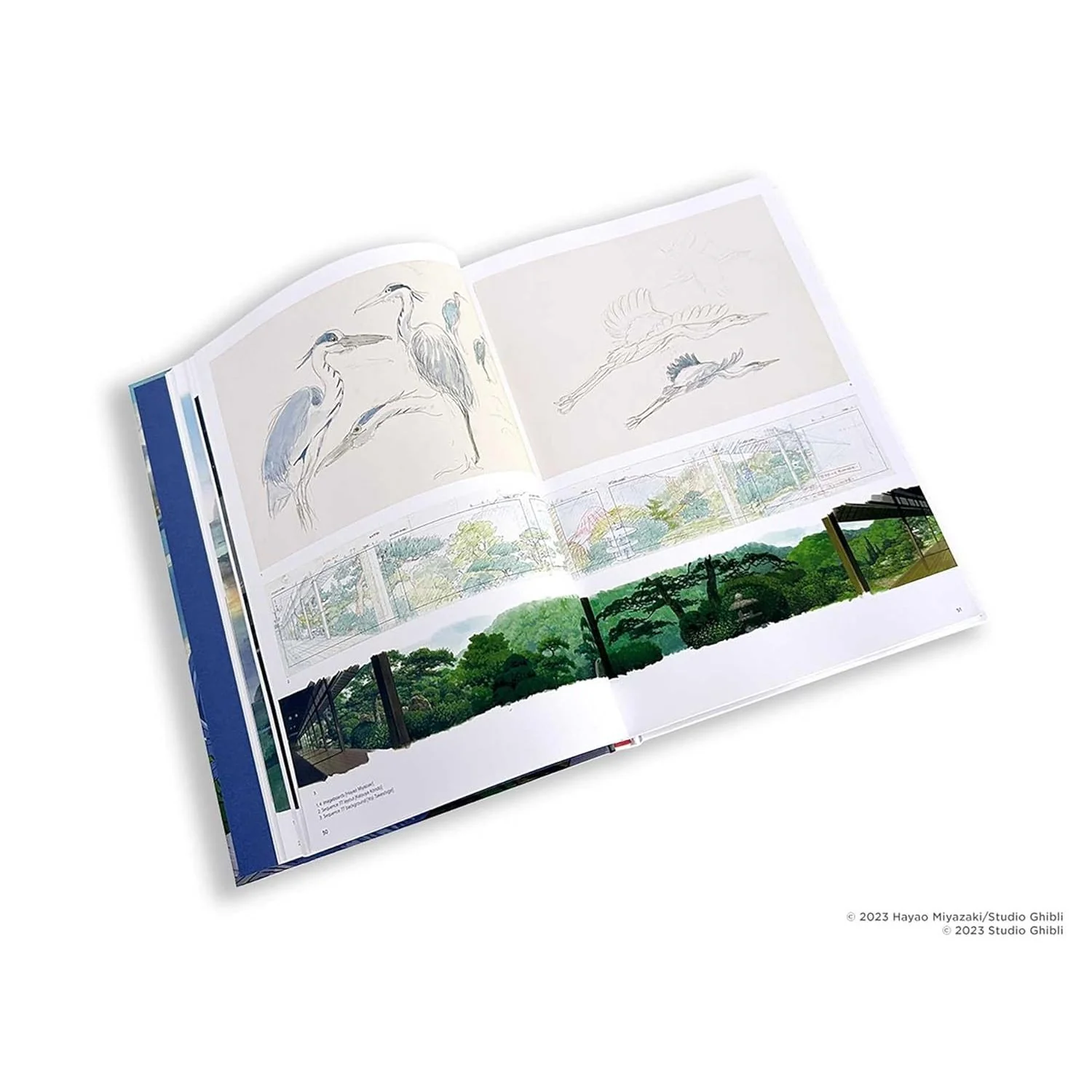 THE ART OF THE BOY AND THE HERON: A FILM BY HAYAO MIYAZAKI - Image 2