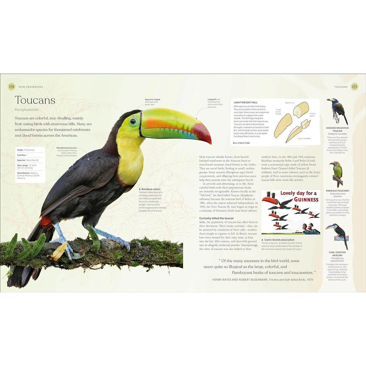 THE BIRD BOOK: THE STORIES, SCIENCE, AND HISTORY OF BIRDS (DK BOOK) - Image 3