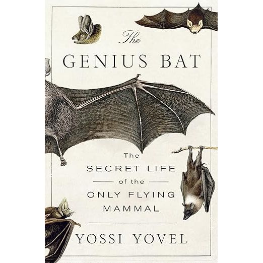 THE GENIUS BAT: THE SECRET LIFE OF THE ONLY FLYING MAMMAL BY YOSSI YOVEL