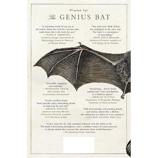 THE GENIUS BAT: THE SECRET LIFE OF THE ONLY FLYING MAMMAL BY YOSSI YOVEL - Image 2