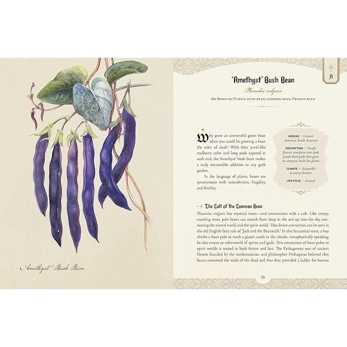 THE GOTH GARDEN: THE MYSTERY, BEAUTY, AND LORE OF DARK GARDENING BY FELICIA FEASTER - Image 3