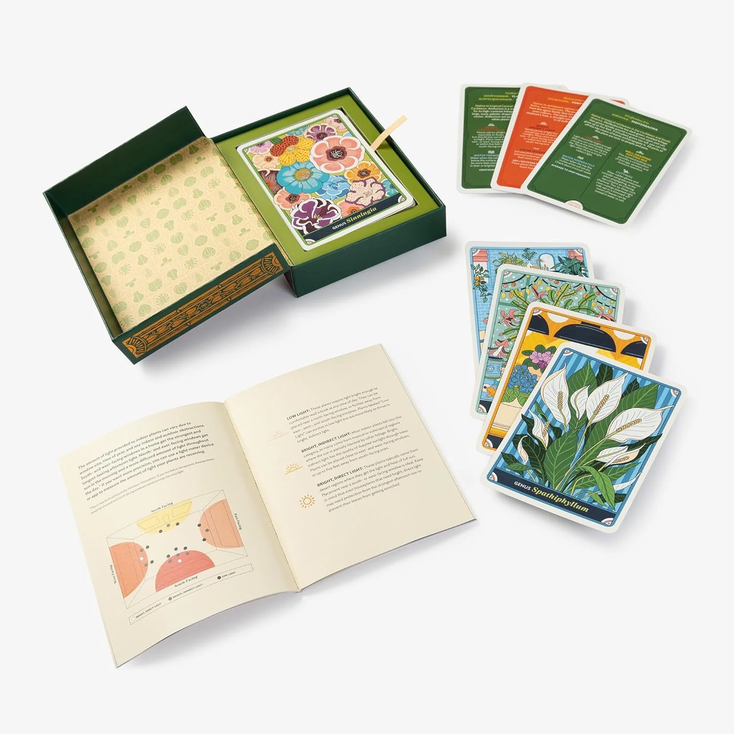 THE HAPPY HOUSEPLANT: 50 CARDS FOR INTUITIVE PLANT CARE - Image 2