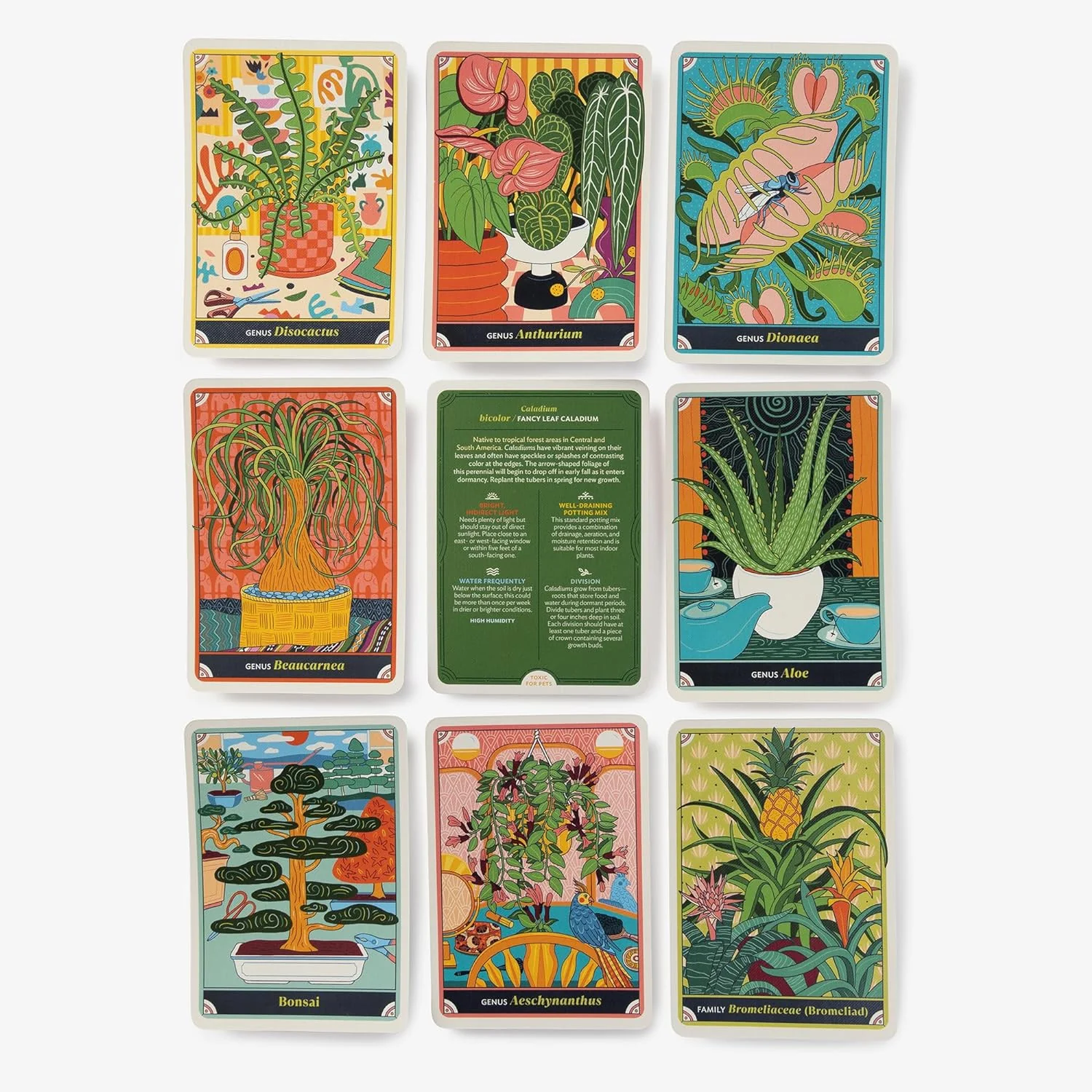 THE HAPPY HOUSEPLANT: 50 CARDS FOR INTUITIVE PLANT CARE - Image 3
