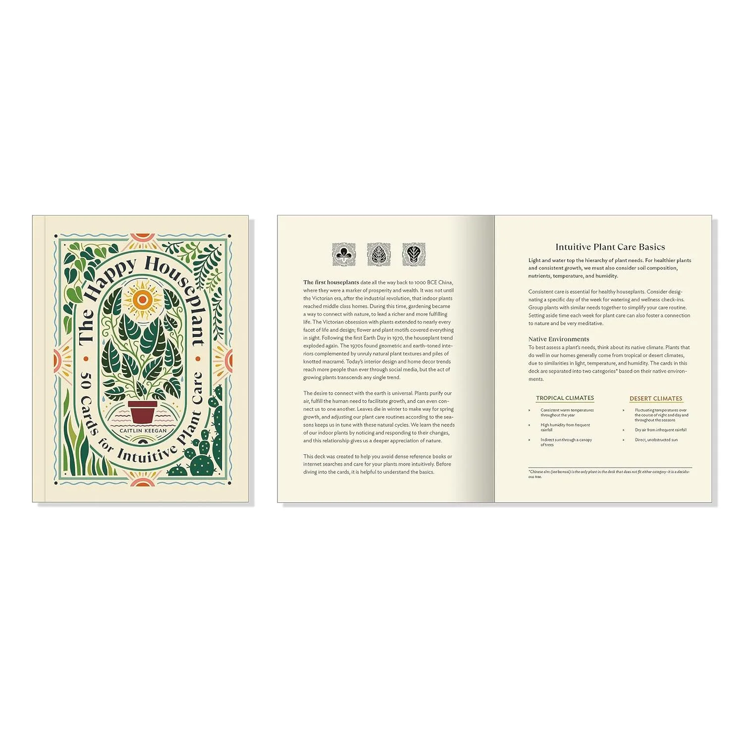 THE HAPPY HOUSEPLANT: 50 CARDS FOR INTUITIVE PLANT CARE - Image 4