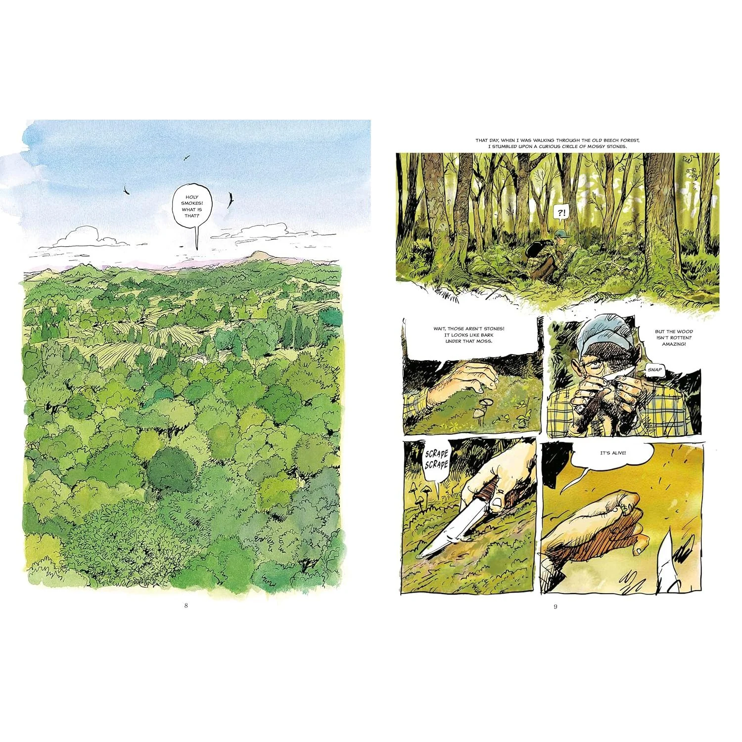 THE HIDDEN LIFE OF TREES: A GRAPHIC ADAPTION BY PETER WOHLLEBEN, FRED BERNARD, & BENJAMIN FLAO - Image 2