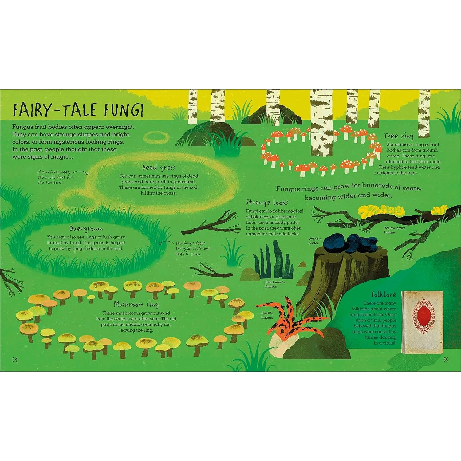 THE HUMONGOUS FUNGUS BY LYNNE BODDY AND ILLUSTRATED BY WENJIA TANG - Image 2