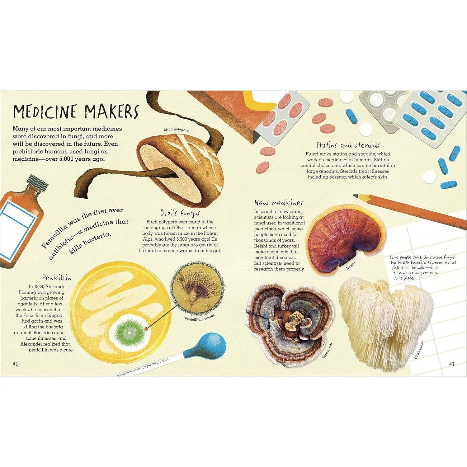 THE HUMONGOUS FUNGUS BY LYNNE BODDY AND ILLUSTRATED BY WENJIA TANG - Image 4