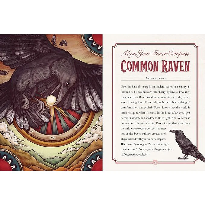 THE ILLUSTRATED BEASTIARY BY MAIA TOLL - Image 3
