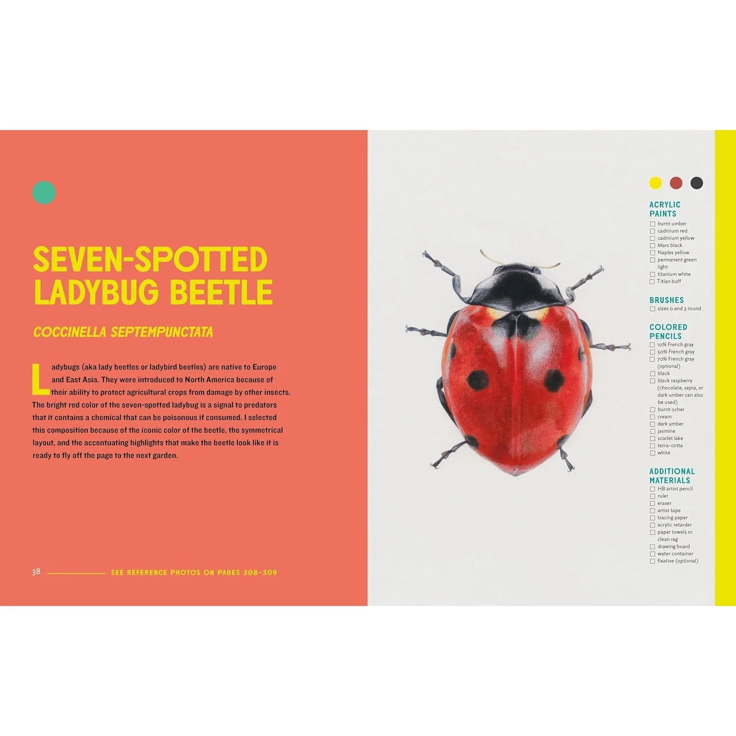 THE INSECT ARTIST: HOW TO OBSEVE, DRAW, AND PAINT BUTTERFLIES, BEES, AND MORE BY ZEBITH S. THALDEN - Image 3