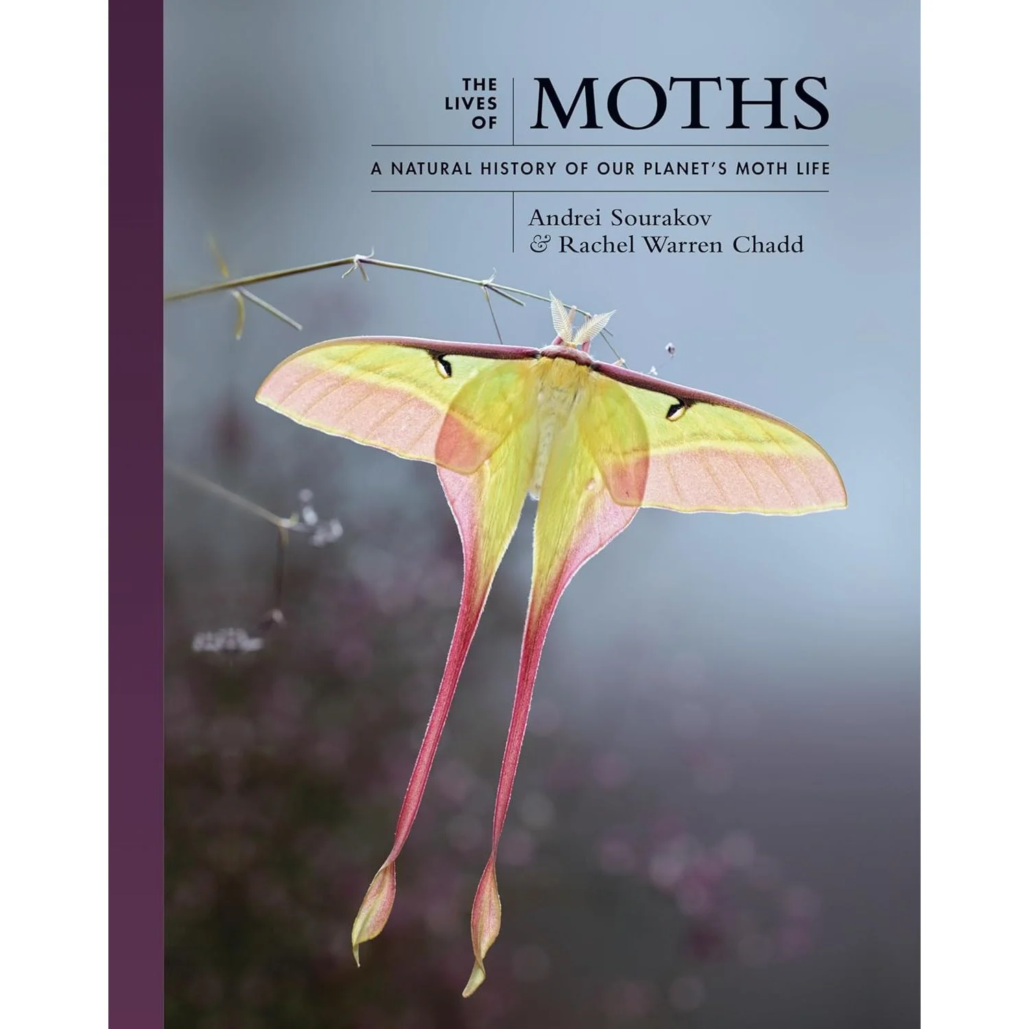 THE LIVES OF MOTHS: A NATURAL HISTORY OF OUR PLANET'S MOTH LIFE BY ANDREI SOURAKOV & RACHEL WARREN CHADD