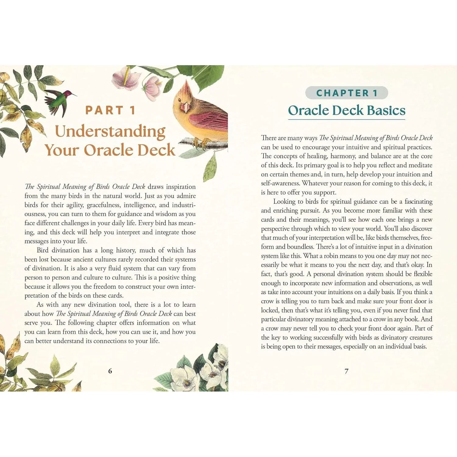 THE SPIRITUAL MEANING OF BIRDS ORACLE DECK - Image 2