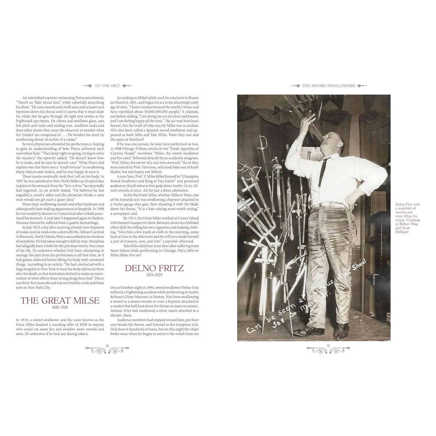 TO THE HILT: A SWORD SWALLOWER'S HISTORY OF SWORD SWALLOWING BY DAN MEYER AND MARC HARTZMAN - Image 3