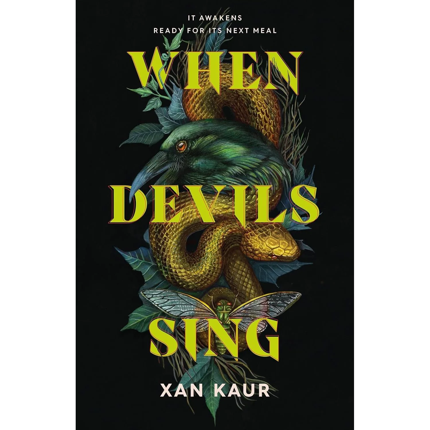 WHEN DEVILS SING BY XAN KAUR