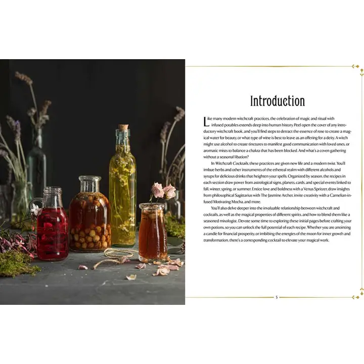 WITCHCRAFT COCKTAILS BY JULIA HALINA HADAS - Image 4